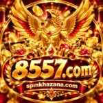 8557.com game logo with spinkhazana.com